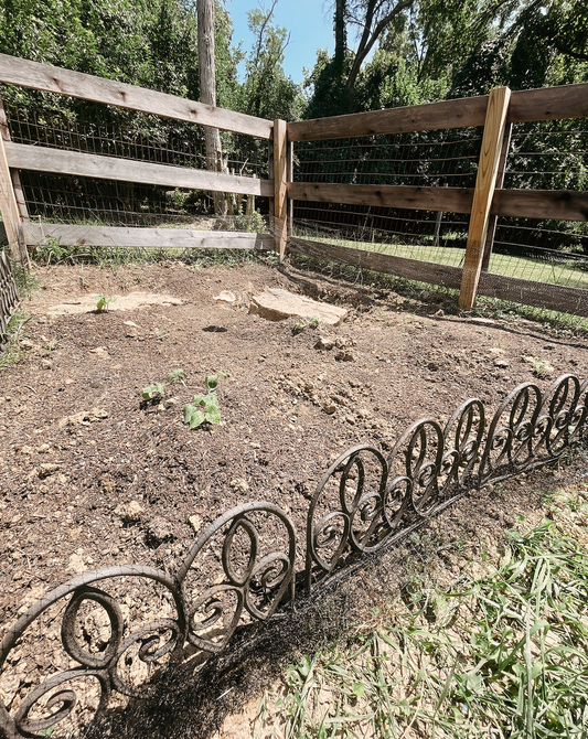 Getting my DIY Pumpkin Patch started!